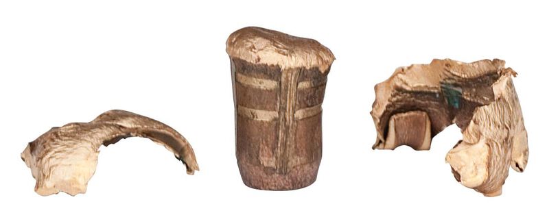 Trophy Copper, 30-06 Springfield, 165 Grain, Trophy Copper, 2800 fps